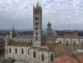 /album/galleria-foto-siena/duomo-dal-facciatone-jpg/